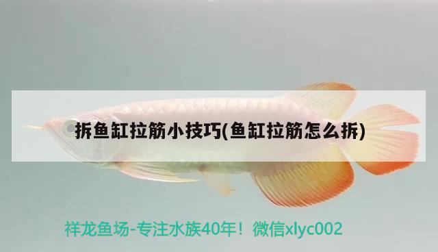 拆魚缸拉筋小技巧(魚缸拉筋怎么拆)