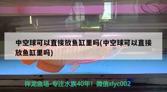 中空球可以直接放魚缸里嗎(中空球可以直接放魚缸里嗎) 水族維護(hù)服務(wù)（上門）