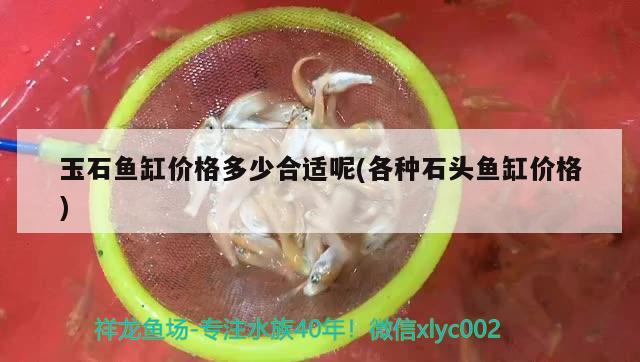 玉石魚缸價(jià)格多少合適呢(各種石頭魚缸價(jià)格) 白子銀版魚