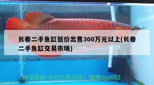 長春二手魚缸低價出售300萬元以上(長春二手魚缸交易市場)