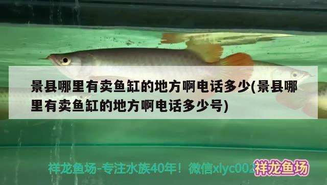 景縣哪里有賣魚缸的地方啊電話多少(景縣哪里有賣魚缸的地方啊電話多少號(hào)) 水族用品