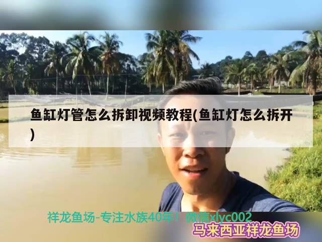 魚缸燈管怎么拆卸視頻教程(魚缸燈怎么拆開) 細(xì)線銀版魚