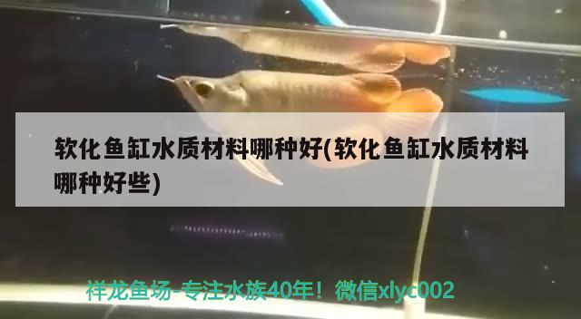 軟化魚缸水質(zhì)材料哪種好(軟化魚缸水質(zhì)材料哪種好些) 玫瑰銀版魚