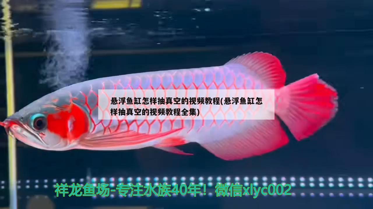 懸浮魚缸怎樣抽真空的視頻教程(懸浮魚缸怎樣抽真空的視頻教程全集)