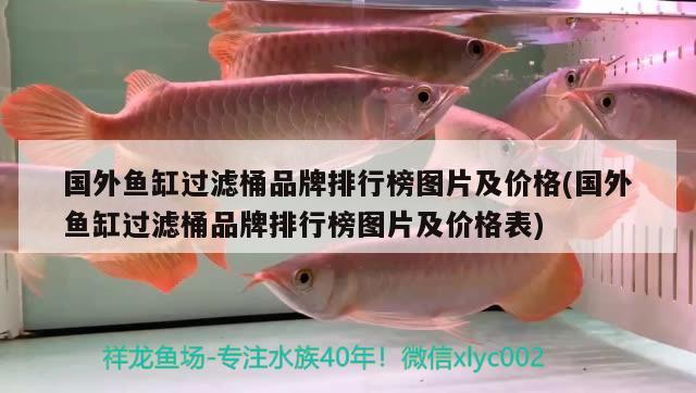 國外魚缸過濾桶品牌排行榜圖片及價格(國外魚缸過濾桶品牌排行榜圖片及價格表) 水族雜談