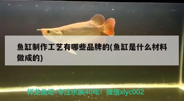 魚缸制作工藝有哪些品牌的(魚缸是什么材料做成的) 白子關(guān)刀魚苗