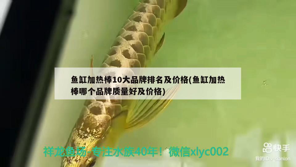 魚缸加熱棒10大品牌排名及價(jià)格(魚缸加熱棒哪個(gè)品牌質(zhì)量好及價(jià)格) 觀賞魚