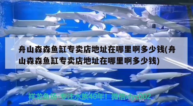 舟山森森魚缸專賣店地址在哪里啊多少錢(舟山森森魚缸專賣店地址在哪里啊多少錢) 祥龍魚場