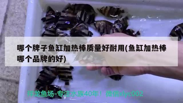 哪個牌子魚缸加熱棒質(zhì)量好耐用(魚缸加熱棒哪個品牌的好) 除藻劑