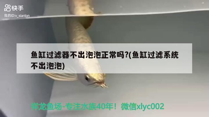 魚缸過濾器不出泡泡正常嗎?(魚缸過濾系統(tǒng)不出泡泡) 水族世界