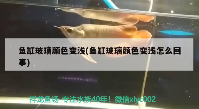 魚缸玻璃顏色變淺(魚缸玻璃顏色變淺怎么回事)