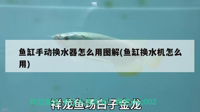 魚缸手動換水器怎么用圖解(魚缸換水機(jī)怎么用) BD魟魚 第1張