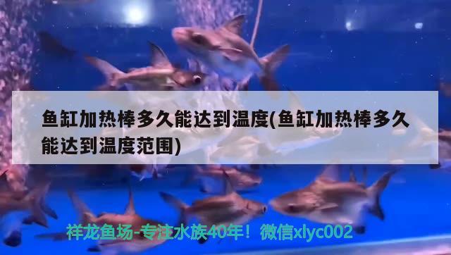 魚缸加熱棒多久能達到溫度(魚缸加熱棒多久能達到溫度范圍)