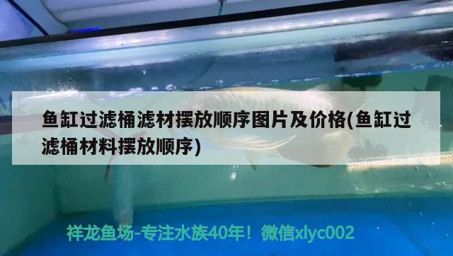 魚缸過濾桶濾材擺放順序圖片及價(jià)格(魚缸過濾桶材料擺放順序) 和尚魚