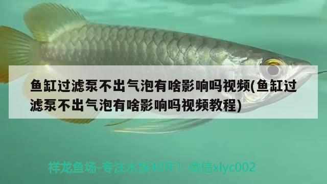 魚缸過濾泵不出氣泡有啥影響嗎視頻(魚缸過濾泵不出氣泡有啥影響嗎視頻教程) 水溫計(jì)