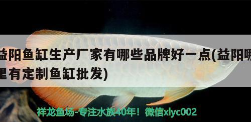 益陽(yáng)魚(yú)缸生產(chǎn)廠家有哪些品牌好一點(diǎn)(益陽(yáng)哪里有定制魚(yú)缸批發(fā))