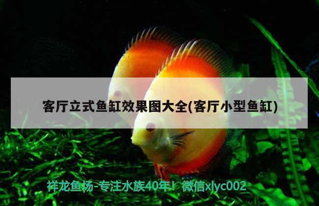 客廳立式魚缸效果圖大全(客廳小型魚缸)