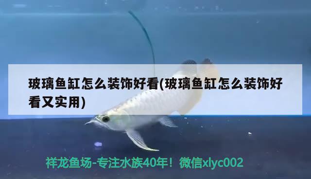 玻璃魚(yú)缸怎么裝飾好看(玻璃魚(yú)缸怎么裝飾好看又實(shí)用)