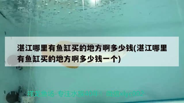 湛江哪里有魚缸買的地方啊多少錢(湛江哪里有魚缸買的地方啊多少錢一個(gè))