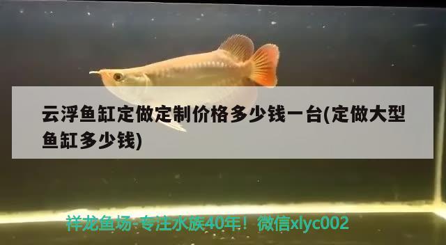 云浮魚(yú)缸定做定制價(jià)格多少錢(qián)一臺(tái)(定做大型魚(yú)缸多少錢(qián))