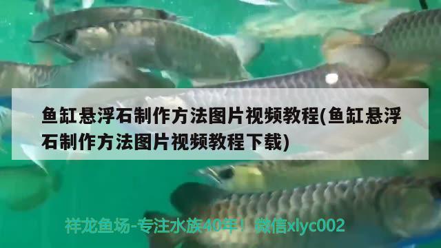 魚缸懸浮石制作方法圖片視頻教程(魚缸懸浮石制作方法圖片視頻教程下載) 虎斑恐龍魚