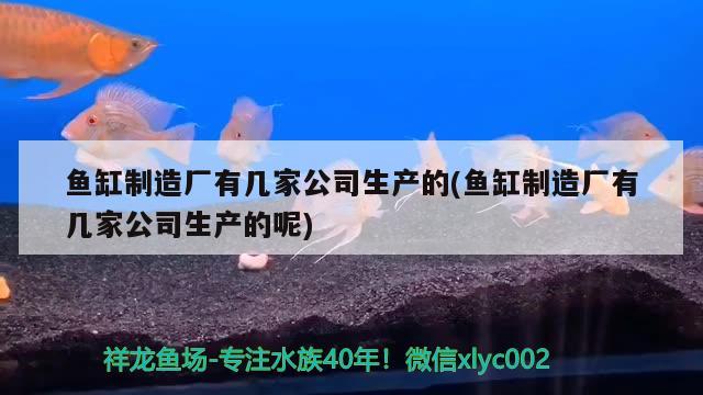 魚缸制造廠有幾家公司生產(chǎn)的(魚缸制造廠有幾家公司生產(chǎn)的呢)