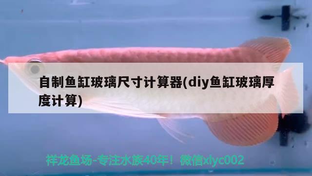 自制魚(yú)缸玻璃尺寸計(jì)算器(diy魚(yú)缸玻璃厚度計(jì)算)