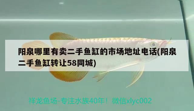 陽泉哪里有賣二手魚缸的市場地址電話(陽泉二手魚缸轉(zhuǎn)讓58同城)