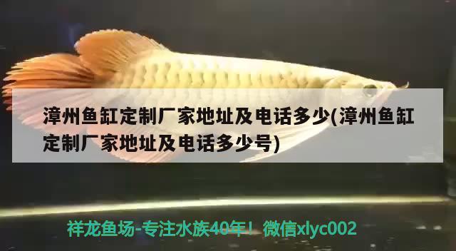 漳州魚缸定制廠家地址及電話多少(漳州魚缸定制廠家地址及電話多少號(hào)) 彩鰈魚缸（彩蝶魚缸）