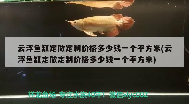 云浮魚缸定做定制價格多少錢一個平方米(云浮魚缸定做定制價格多少錢一個平方米) 巴西亞魚苗