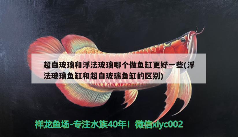 超白玻璃和浮法玻璃哪個(gè)做魚缸更好一些(浮法玻璃魚缸和超白玻璃魚缸的區(qū)別)