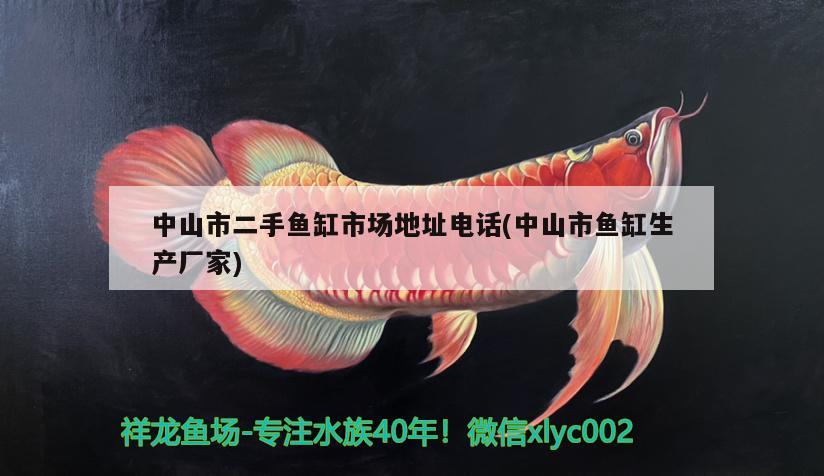 中山市二手魚(yú)缸市場(chǎng)地址電話(huà)(中山市魚(yú)缸生產(chǎn)廠家) 慈雕魚(yú)