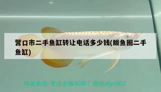 營(yíng)口市二手魚(yú)缸轉(zhuǎn)讓電話多少錢(qián)(鲅魚(yú)圈二手魚(yú)缸)