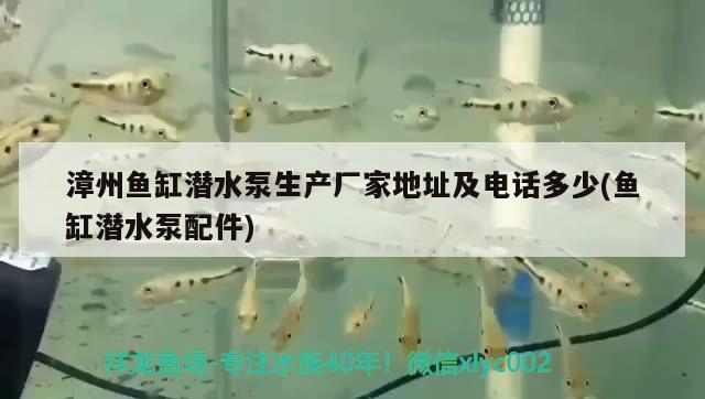 漳州魚缸潛水泵生產(chǎn)廠家地址及電話多少(魚缸潛水泵配件)