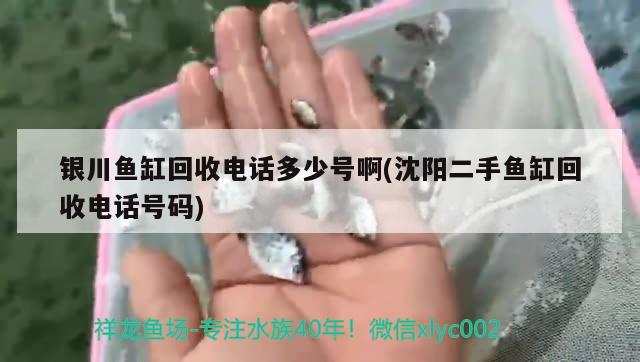 銀川魚缸回收電話多少號(hào)啊(沈陽二手魚缸回收電話號(hào)碼)