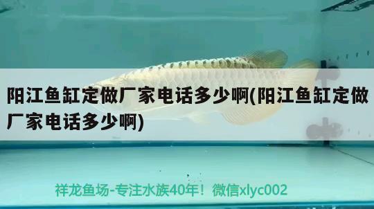 陽江魚缸定做廠家電話多少啊(陽江魚缸定做廠家電話多少啊)