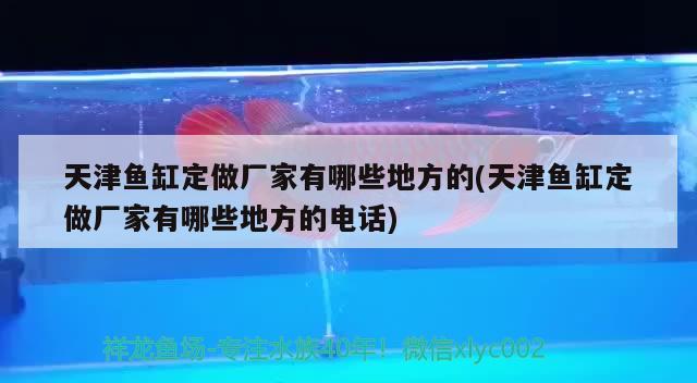 天津魚缸定做廠家有哪些地方的(天津魚缸定做廠家有哪些地方的電話) 水族用品