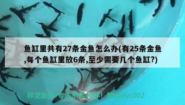 魚缸里共有27條金魚怎么辦(有25條金魚,每個魚缸里放6條,至少需要幾個魚缸?)