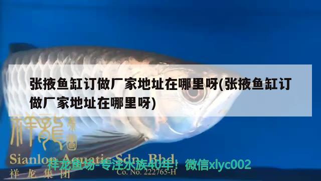 張掖魚缸訂做廠家地址在哪里呀(張掖魚缸訂做廠家地址在哪里呀) 藍(lán)帆三間魚 第1張