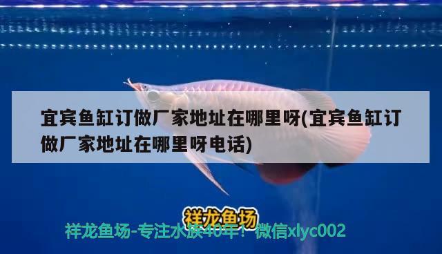 宜賓魚缸訂做廠家地址在哪里呀(宜賓魚缸訂做廠家地址在哪里呀電話)