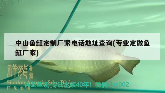 中山魚缸定制廠家電話地址查詢(專業(yè)定做魚缸廠家)