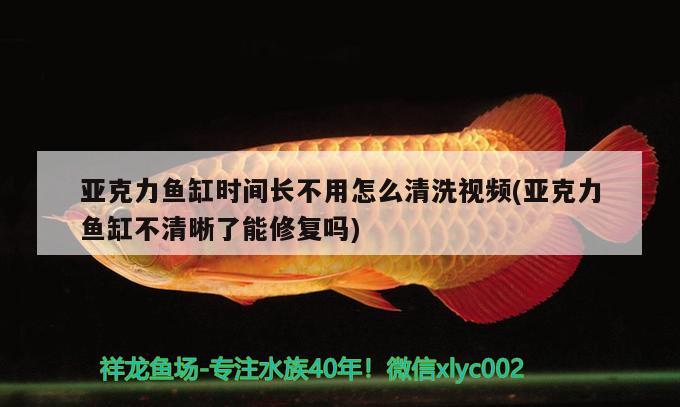 亞克力魚缸時間長不用怎么清洗視頻(亞克力魚缸不清晰了能修復嗎) 龍魚芯片掃碼器