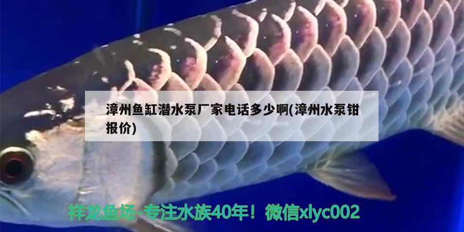 漳州魚缸潛水泵廠家電話多少啊(漳州水泵鉗報(bào)價(jià)) 水族雜談