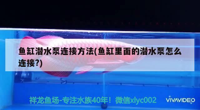 魚缸潛水泵連接方法(魚缸里面的潛水泵怎么連接?)