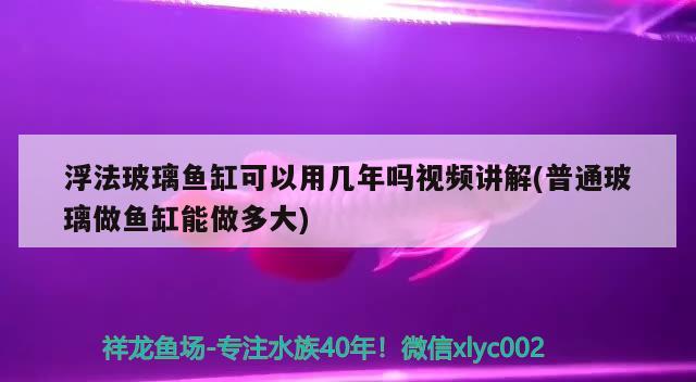 浮法玻璃魚缸可以用幾年嗎視頻講解(普通玻璃做魚缸能做多大) 南美異形觀賞魚