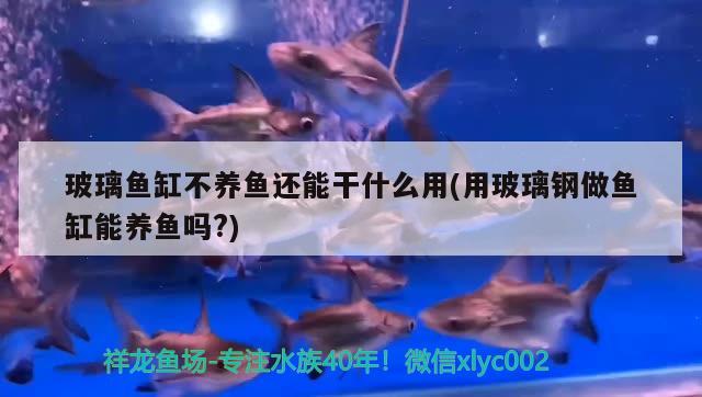 玻璃魚缸不養(yǎng)魚還能干什么用(用玻璃鋼做魚缸能養(yǎng)魚嗎?) 古典過背金龍魚 第1張