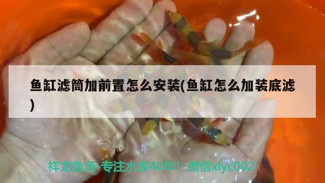 魚(yú)缸濾筒加前置怎么安裝(魚(yú)缸怎么加裝底濾)