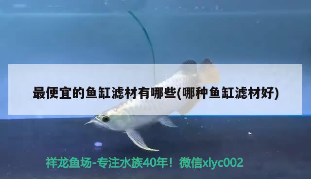 最便宜的魚缸濾材有哪些(哪種魚缸濾材好)