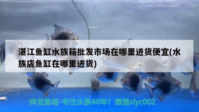 湛江魚缸水族箱批發(fā)市場在哪里進(jìn)貨便宜(水族店魚缸在哪里進(jìn)貨)