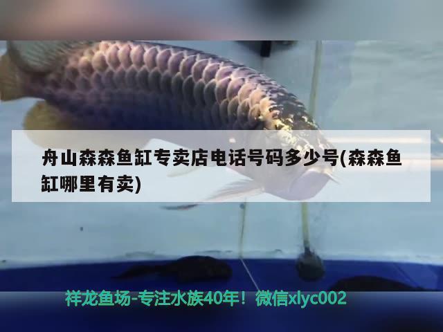 舟山森森魚缸專賣店電話號碼多少號(森森魚缸哪里有賣)